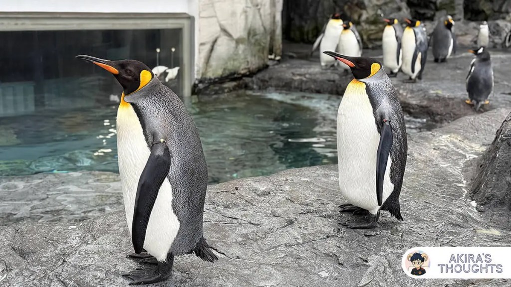 2025北海道之旅 Day 2 - 旭川動物園