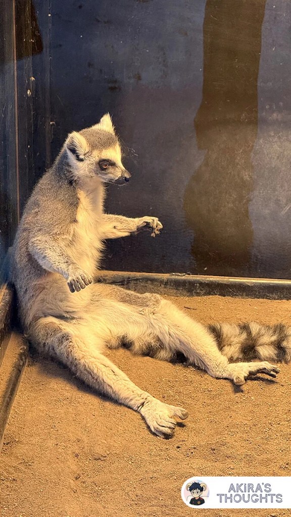 2025北海道之旅 Day 2 - 旭川動物園
