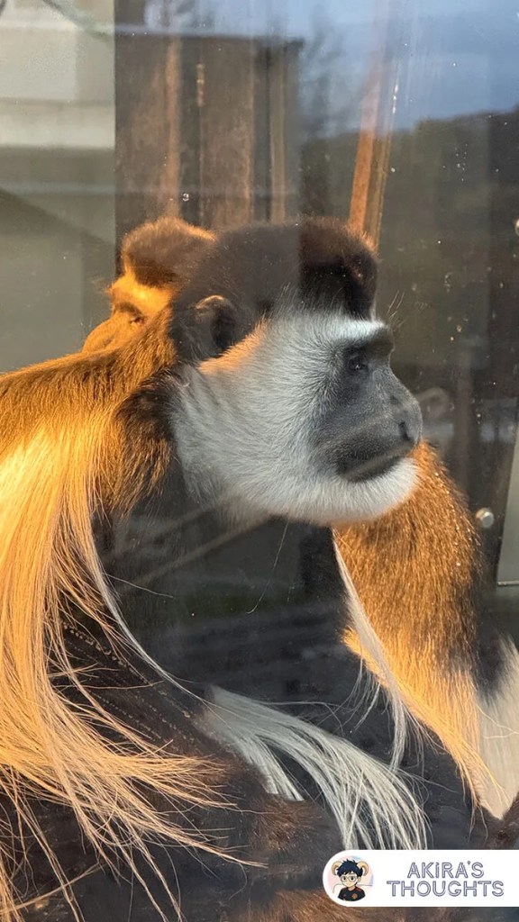 2025北海道之旅 Day 2 - 旭川動物園